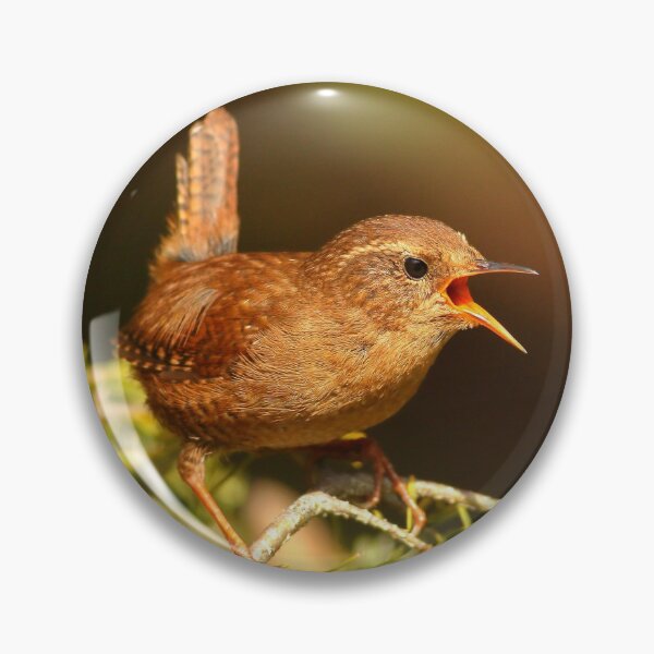Item preview, Pacific Wren designed and sold by adjohnson.