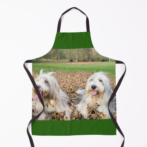 Item preview, Two Bearded Collie Dogs designed and sold by Paul Thompson Photography.
