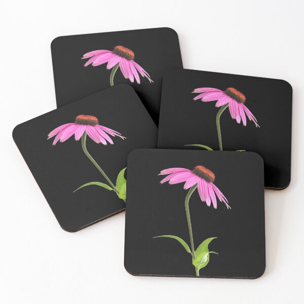 Item preview, Purple Echinacea Purpurea Flowers For Nature and Botanical Flowers Lover - Echinacea Purpurea designed and sold by lodarohit.