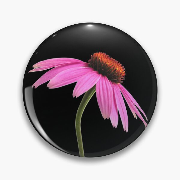 Item preview, Purple Echinacea Purpurea Flowers For Nature and Botanical Flowers Lover - Echinacea Purpurea designed and sold by lodarohit.