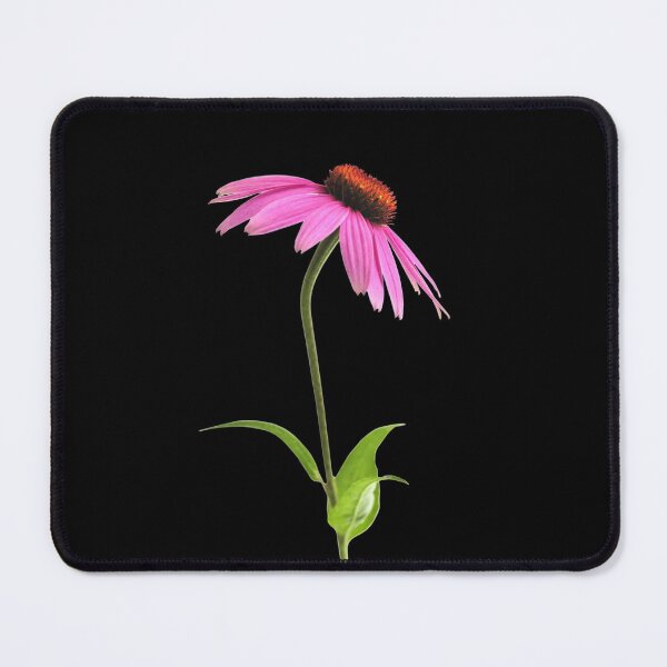 Item preview, Purple Echinacea Purpurea Flowers For Nature and Botanical Flowers Lover - Echinacea Purpurea designed and sold by lodarohit.