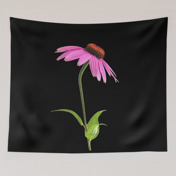 Item preview, Purple Echinacea Purpurea Flowers For Nature and Botanical Flowers Lover - Echinacea Purpurea designed and sold by lodarohit.