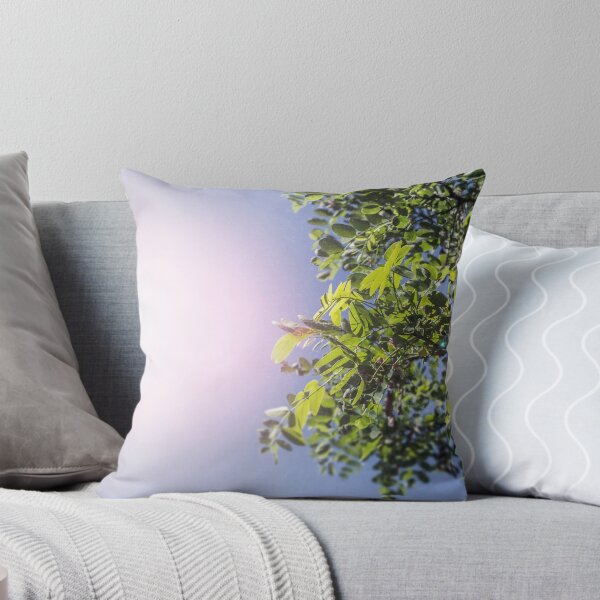Item preview, Leaves backgrund: yellow leaves of thorn tree in the strong sun on the sky background designed and sold by aquapixel.
