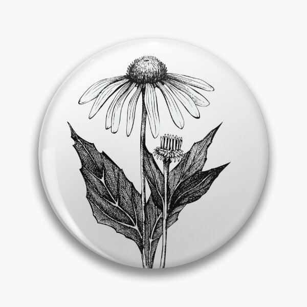 Item preview, Echinacea Purpurea Flowers For Nature and Botanical Flowers Lover - Echinacea Purpurea designed and sold by lodarohit.