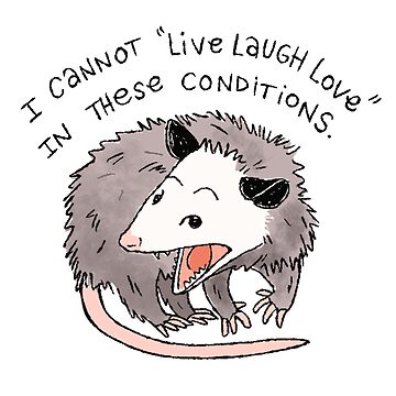 Artwork thumbnail, Opossum Live Laugh Love by heyouwitheface