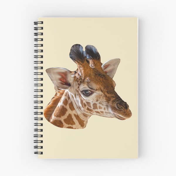 Item preview, Baby Giraffe designed and sold by Dalyndigital Photography.