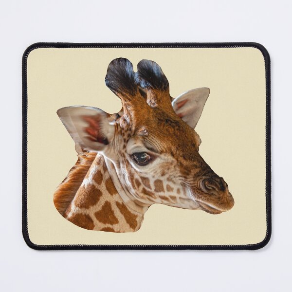 Item preview, Baby Giraffe designed and sold by Dalyndigital Photography.