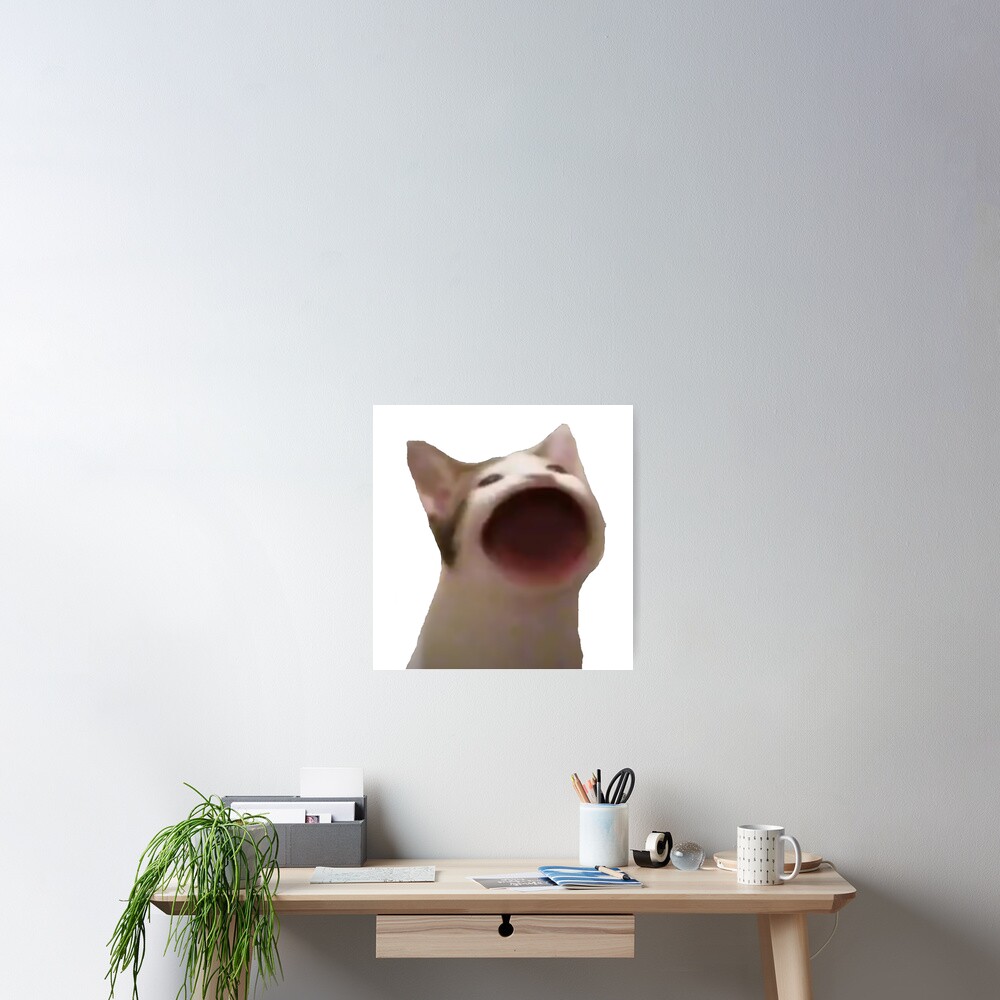 Pop Cat Meme Photographic Print for Sale by masoncarr2244