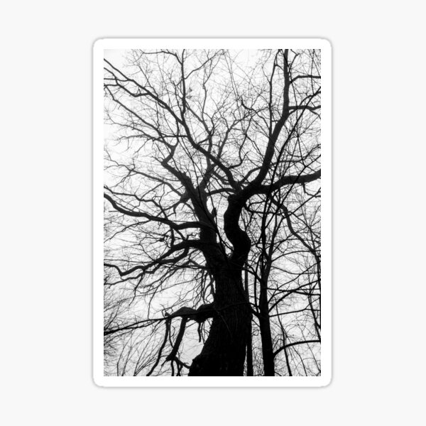 tree Sticker