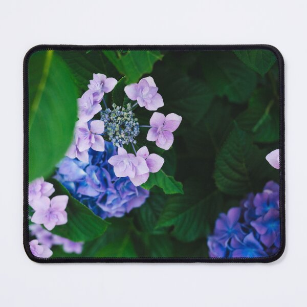 Item preview, Blooming Purple Hydrangeas designed and sold by newburyboutique.