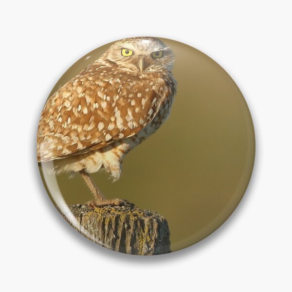 Item preview, Burrowing Owl designed and sold by adjohnson.