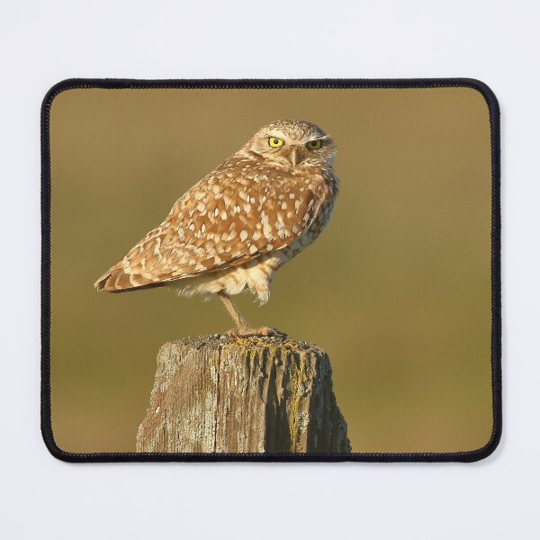 Item preview, Burrowing Owl designed and sold by adjohnson.