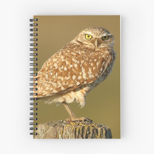 Item preview, Burrowing Owl designed and sold by adjohnson.