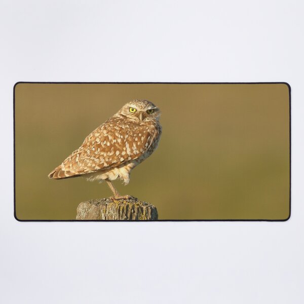 Item preview, Burrowing Owl designed and sold by adjohnson.