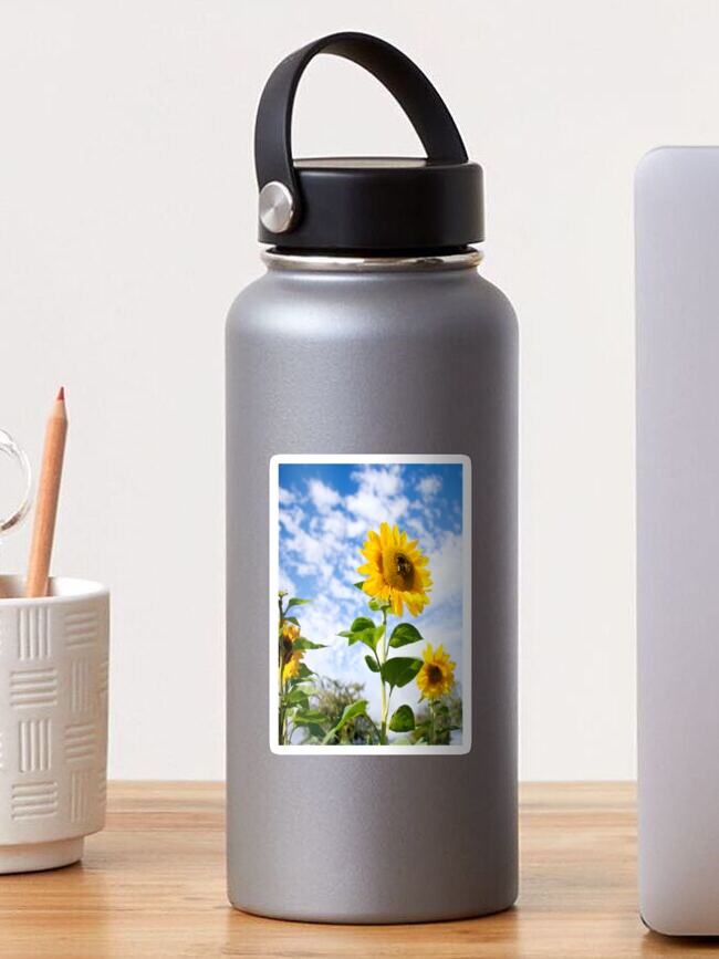 Thumbnail 1 of 3, Sticker, Sunflowers Again designed and sold by BeckmogArt.