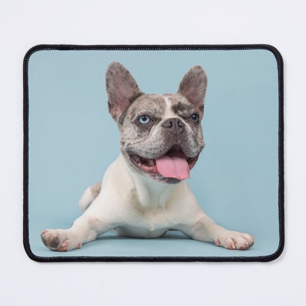 Item preview, French Bulldog designed and sold by mialeephoto.