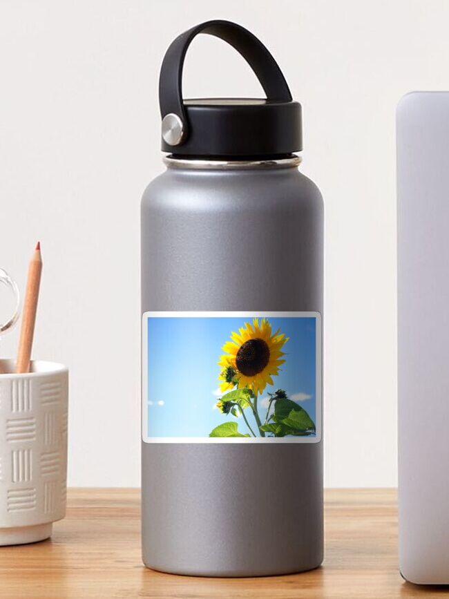 Thumbnail 1 of 3, Sticker, Even more Sunflowers! designed and sold by BeckmogArt.