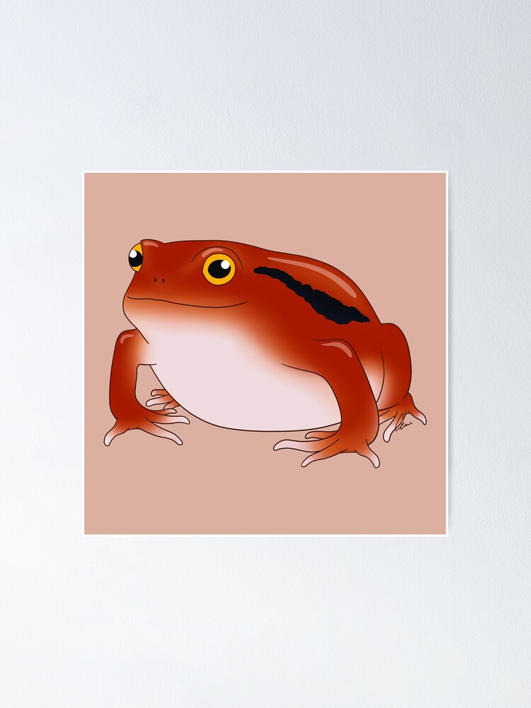 Tomato Frog Smiling Ii Poster For Sale By Anacecilia Redbubble