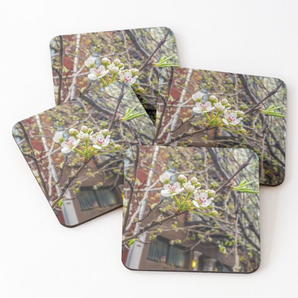 Item preview, Spring on an NYC Street designed and sold by dabblerscorner.