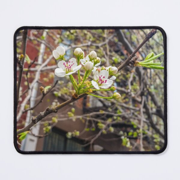 Item preview, Spring on an NYC Street designed and sold by dabblerscorner.