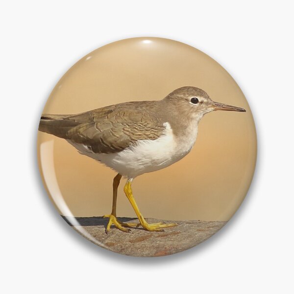 Item preview, Spotted Sandpiper designed and sold by adjohnson.