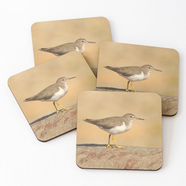 Item preview, Spotted Sandpiper designed and sold by adjohnson.