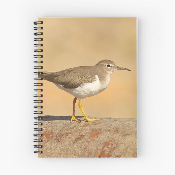 Item preview, Spotted Sandpiper designed and sold by adjohnson.