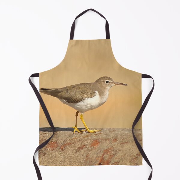 Item preview, Spotted Sandpiper designed and sold by adjohnson.