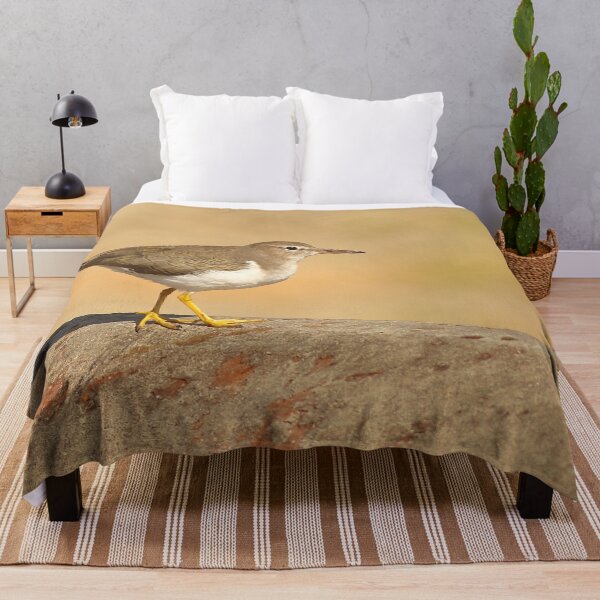 Item preview, Spotted Sandpiper designed and sold by adjohnson.