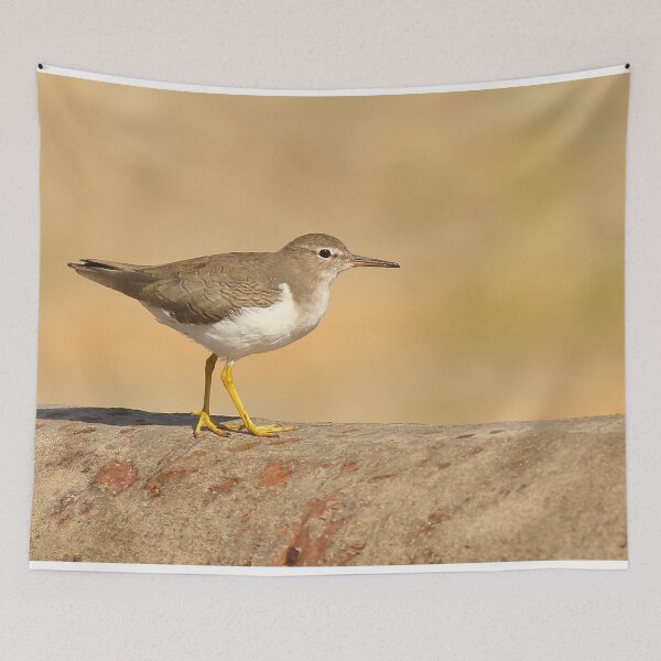 Item preview, Spotted Sandpiper designed and sold by adjohnson.
