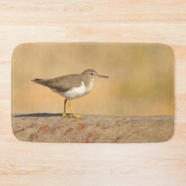 Item preview, Spotted Sandpiper designed and sold by adjohnson.