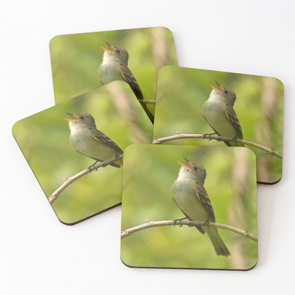 Item preview, Willow Flycatcher designed and sold by adjohnson.