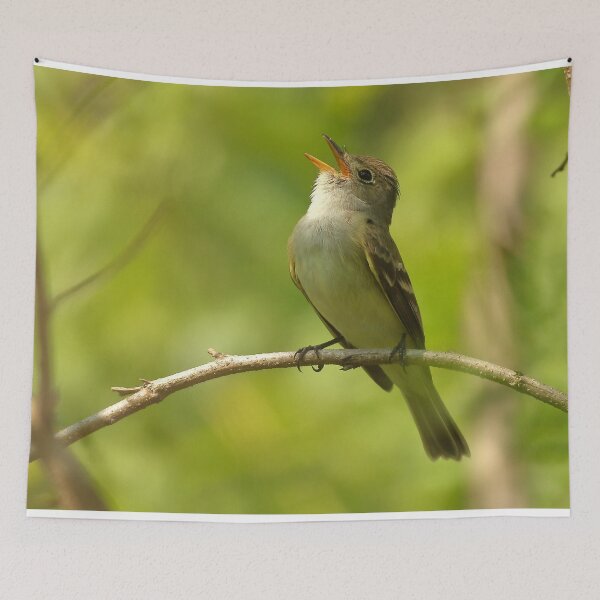 Item preview, Willow Flycatcher designed and sold by adjohnson.