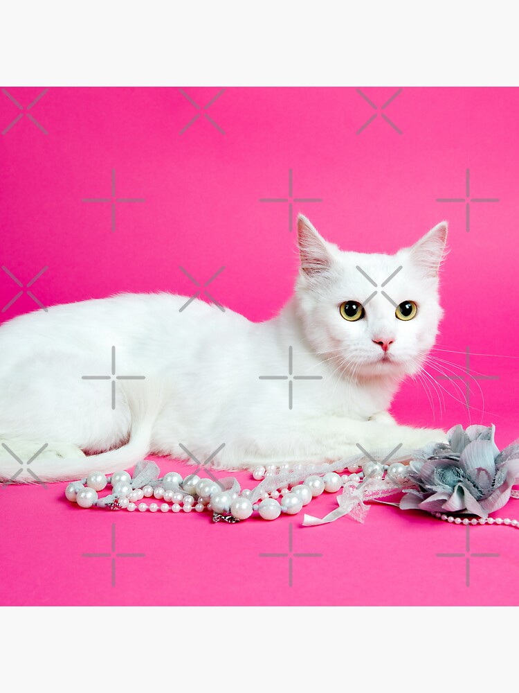 "Cute, white cat with wild flowers, for cat lovers/cat owners and