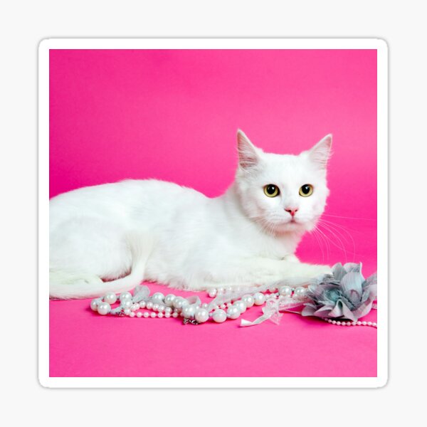 "Cute, white cat with wild flowers, for cat lovers/cat owners and