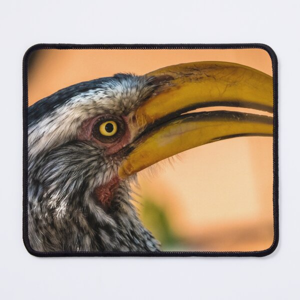 Item preview, Portrait of a southern yellow-billed hornbill, Namibia designed and sold by Lyl Dil Creations.