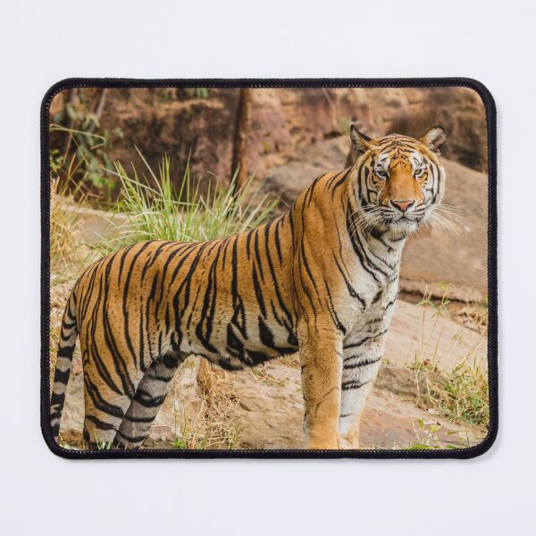 Item preview, Fierce Tiger designed and sold by newburyboutique.