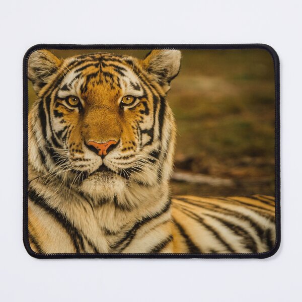 Item preview, Fierce Wild Tiger designed and sold by newburyboutique.
