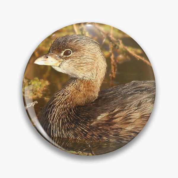 Item preview, Pied-billed Grebe designed and sold by adjohnson.