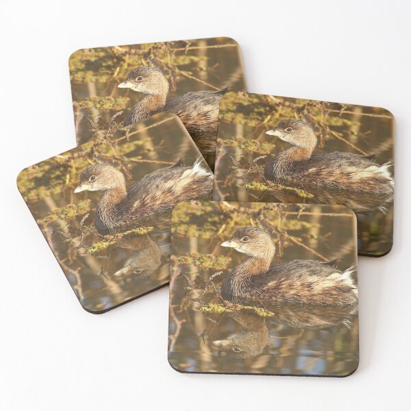 Item preview, Pied-billed Grebe designed and sold by adjohnson.