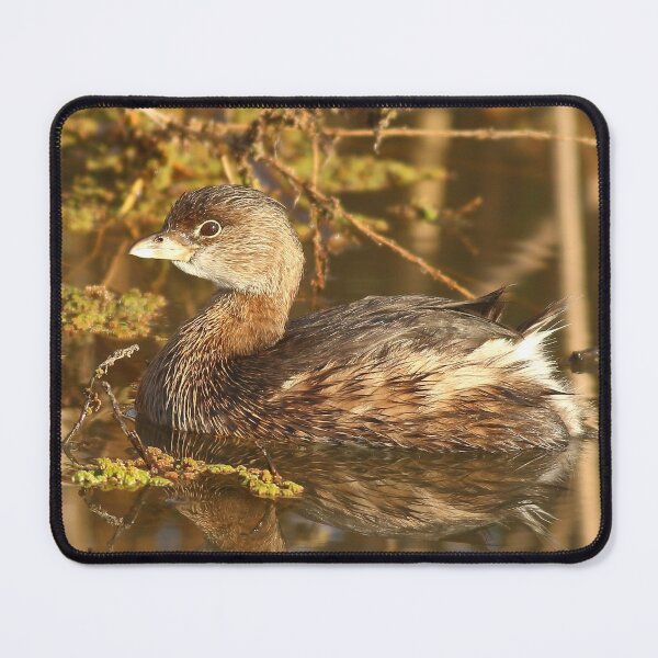 Item preview, Pied-billed Grebe designed and sold by adjohnson.