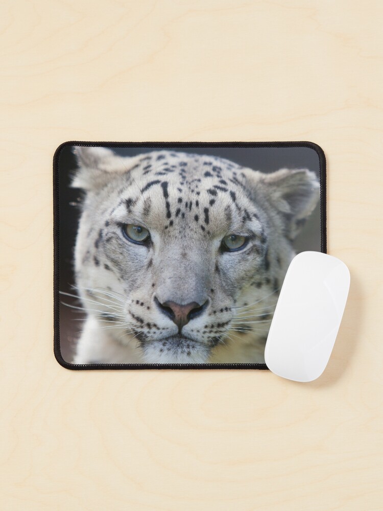 snow leopard mouse pad