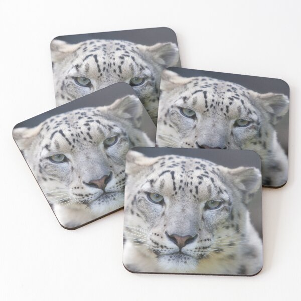 Item preview, Snow Leopard  designed and sold by AnimalLover4eva.