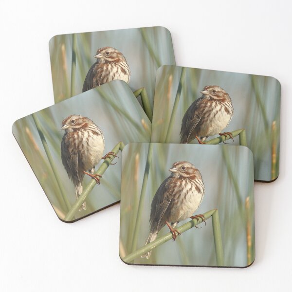 Item preview, Song Sparrow designed and sold by adjohnson.