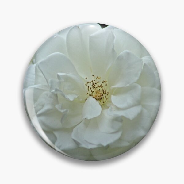 Item preview, White Fluffy Summer Damask Rose Macro designed and sold by worldways.