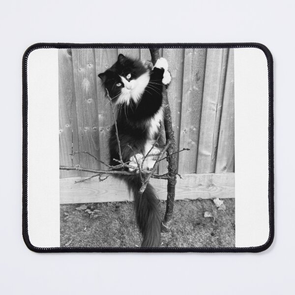 Item preview, Hanging in there, fluffy cat designed and sold by RTrivella.