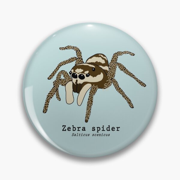 Item preview, Zebra spider (salticus scenicus) with scientific name designed and sold by taylorrowan.