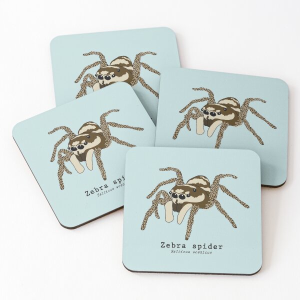 Item preview, Zebra spider (salticus scenicus) with scientific name designed and sold by taylorrowan.