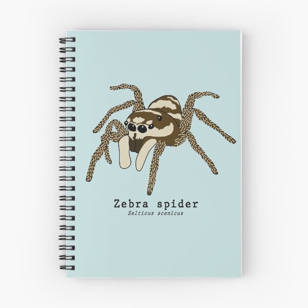 Item preview, Zebra spider (salticus scenicus) with scientific name designed and sold by taylorrowan.