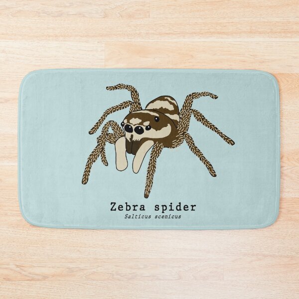 Item preview, Zebra spider (salticus scenicus) with scientific name designed and sold by taylorrowan.